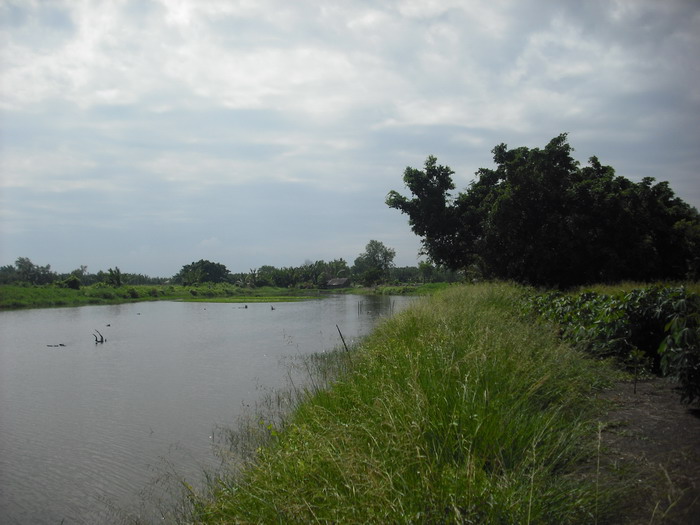 สภาพหมายวันนี้ ..................... คงคุ้น ๆ ใช่แล้วครับ หมายดูลิงนั่นแหละครับ  :smile: