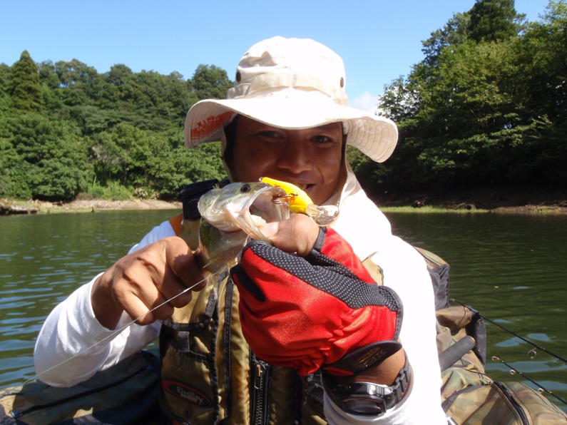 fishing in japan ( bass fish )