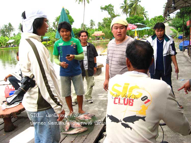 คุยกัน ถึงเมนู ปลานิลทอดกรอบราดพริก ต้มยำปลานิล ปลานิลนึ่งมะนาว ปลาชลาดทอดกรอบ อย่างกับมีเรื่องกัน
