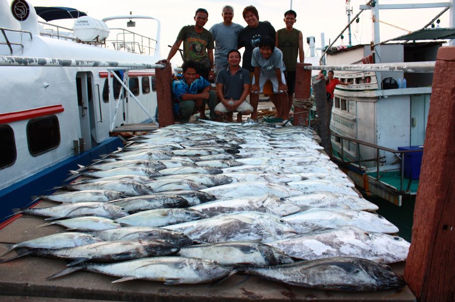 ลากันด้วยภาพนี้เลยแล้วกันครับ ปลารวม ทั้งหมด 96ตัว เป็นโฉมงาม 24 ตัว โต้มอญ2 ตัว เก๋า1 ตัว สาก 2ตัว 