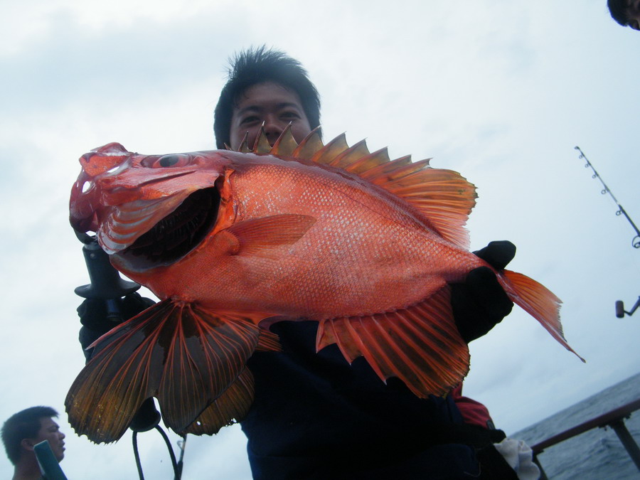 ปลาที่สวยที่สุดในโลก :cheer: :cheer: :cheer: :cheer: :cheer: