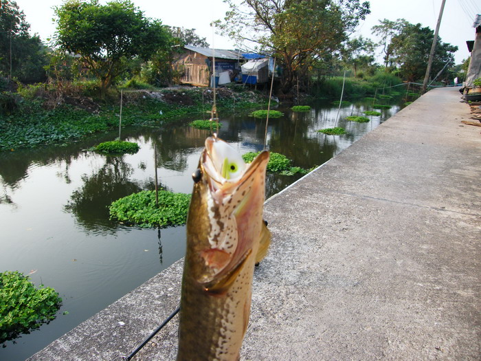 ดุหมายกันก่อนนะครับ....