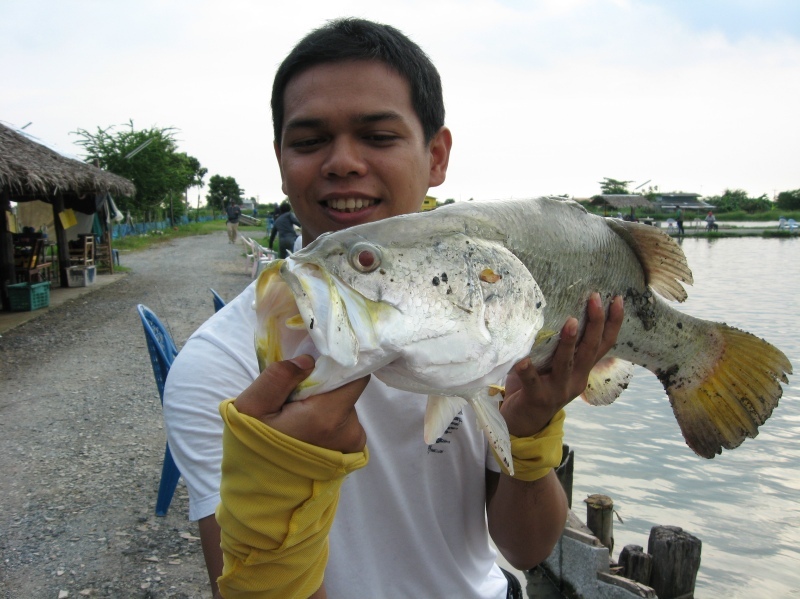 ตัวนี้ใช้ได้ๆ :grin: