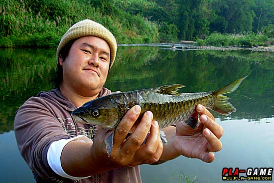 ลี้คิมฮวง  กับ ปลาพลวง 