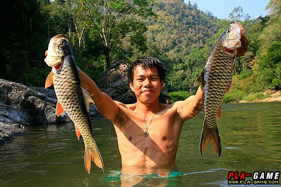 น้าเขต กับกระสูบใหญ่ ต้นน้ำเพชร