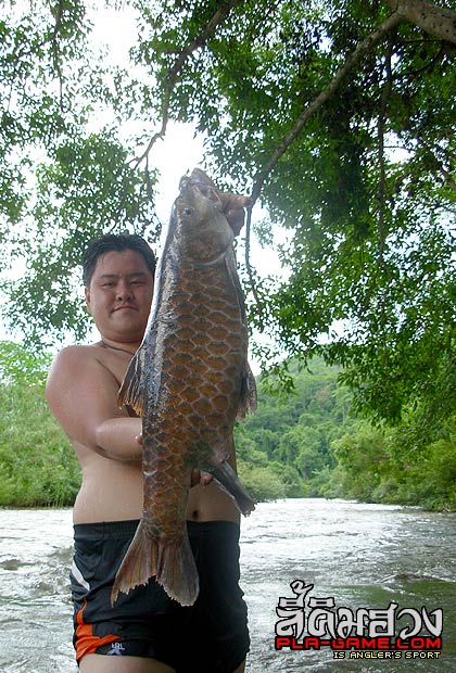 สาย น้ำที่ให้ ชีวิตและคุณค่า   