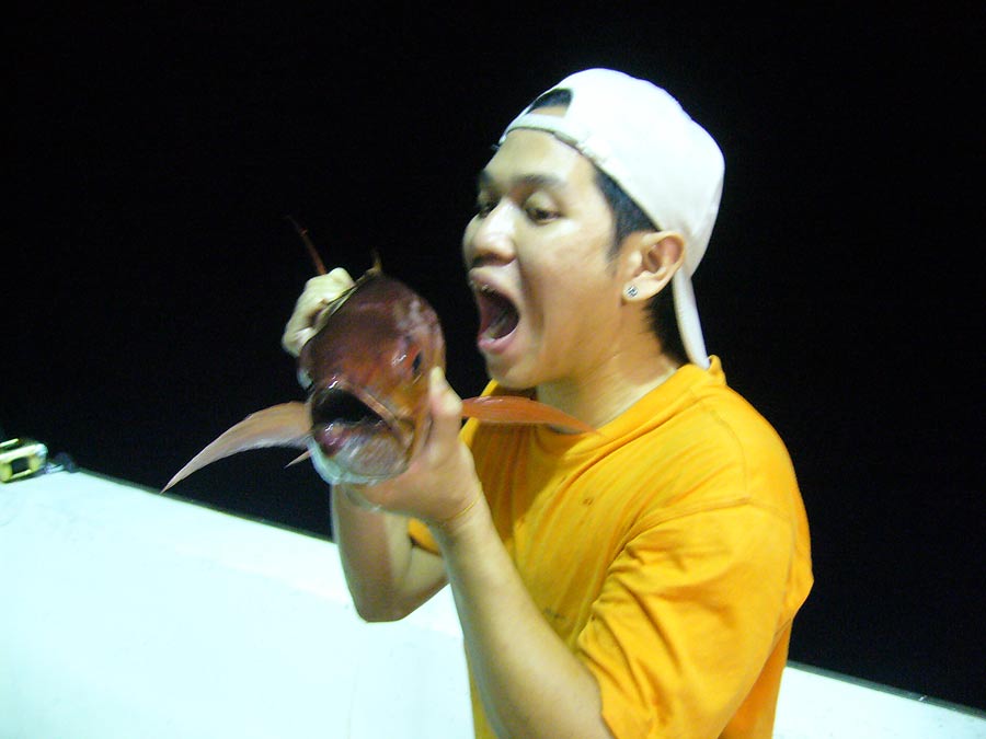 อ่ำ  ปลาดิบ หรือโต้ง

ดูชิปลา  ปลาปากกว้างกับปากของโต้งใคร..... ปากใหญ่กว่ากัน..
