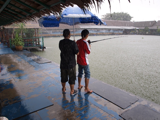 แต่ที่แย่กว่าฝนตก ก็คือปลาดันมากินตอนนี้อ่ะซิครับ พอดีมีน้องเค้าถือร่มมาส่งอาหารเลยยืมน้องเค้าใช้อ่ะ