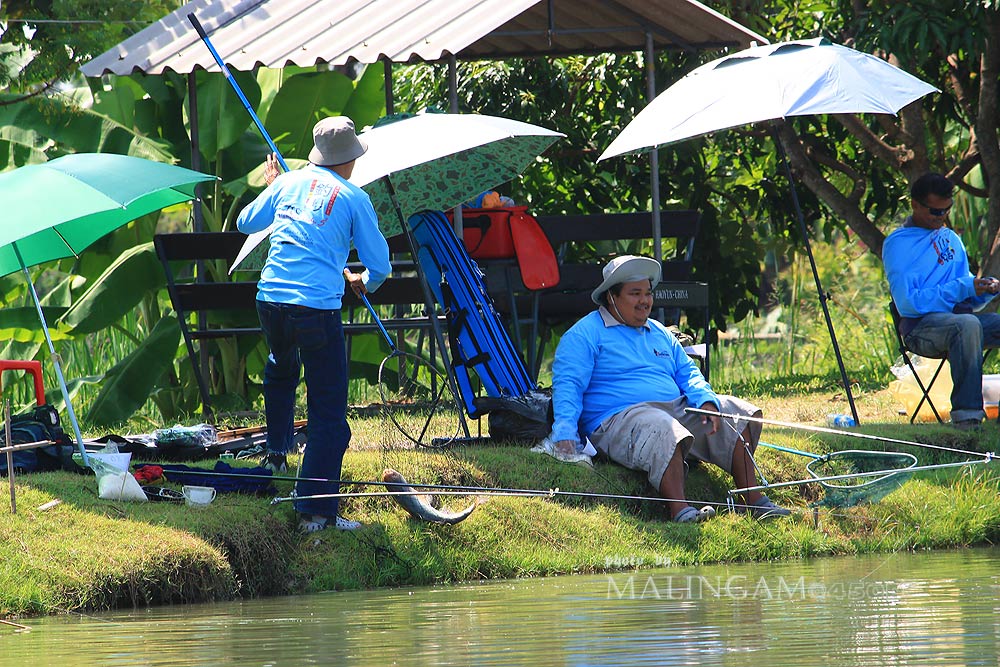 เอ้า..............น้าม๊กได้ปลาแล้ว  จับกล้องถ่ายตอนสู้ปลาไม่ทัน   มันแป๊บเดียว   :laughing: