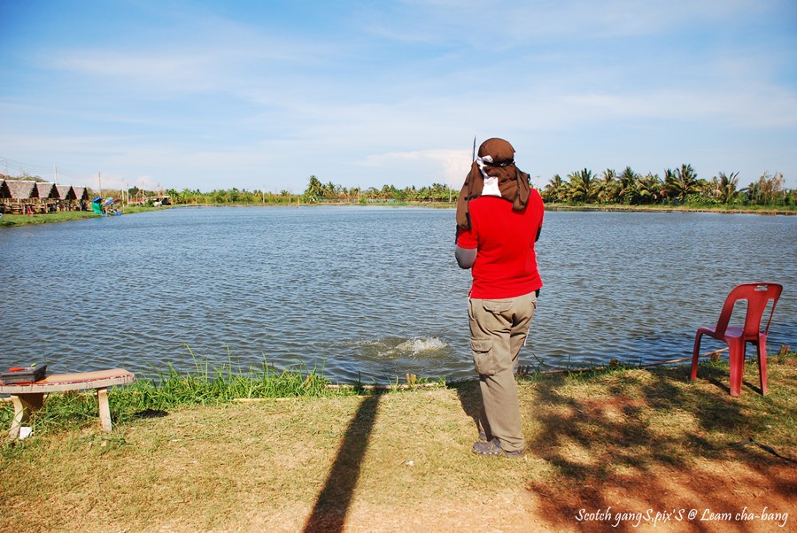 ตอนหัดถ่ายใหม่ๆ จาก D80+เลนซ์KIT18-135  :laughing: :la