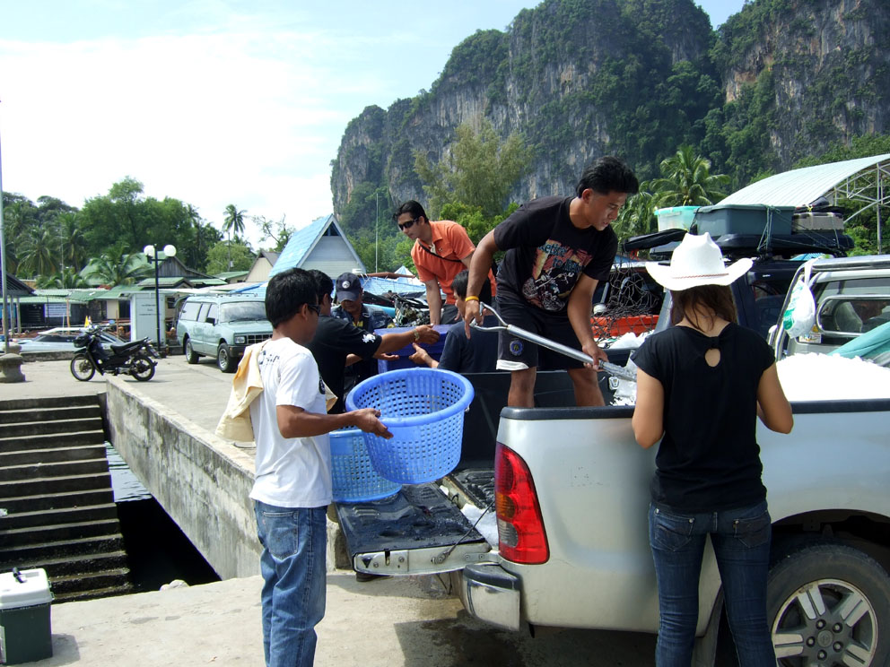 รีบเอาน้ำแข็งลงเรือโดยหวานใจของไต๋หนึ่ง(หันหลัง)ส่วนโปรโมเตอร์สำหรับทริปนี้คือคุณหนุ่มสุดหล่อ(เสื้อส