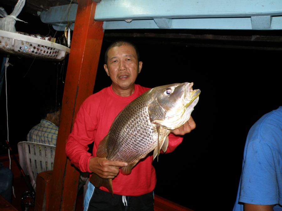 คุณสรรเพชญอัดขึ้นมาเป็นอังจ๋อสุดป