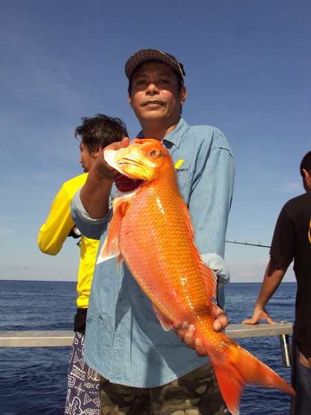 พีเอ๋ย้ายมาท้ายเรือก็โดนเลยครับ :smile:

 [q]ตามชมด้วยคนจ้า[/q]
สวัดดีครับน้าfridaynoop :smile: