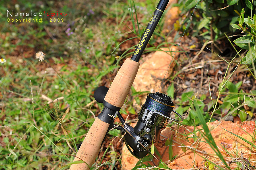 วันนี้ลองเอาชุดนี้มาใช้หน่อยคับ คัน Gary Yamamoto 8-20 lb. คู่กับรอก Daiwa Steez 2500 สาย PE 2  :lov