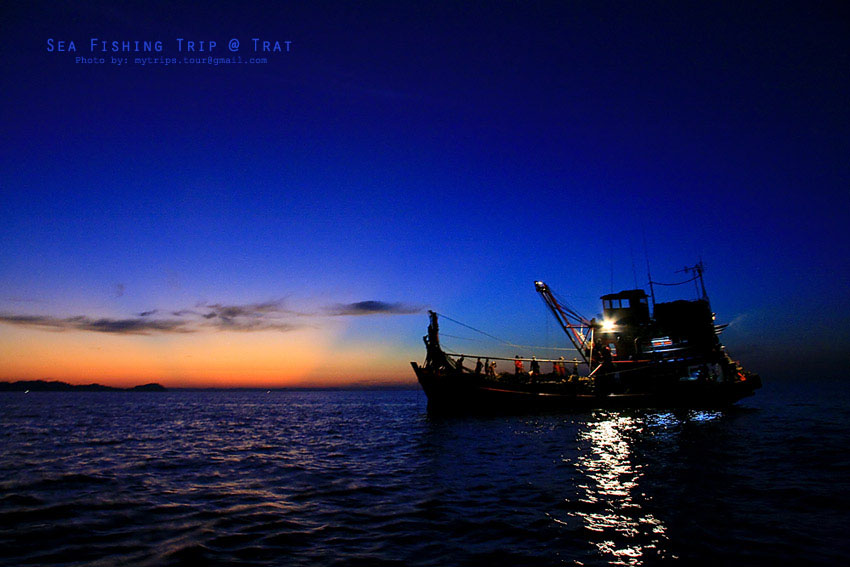 เราต้องรอให้เรืออวนลากอวนขึ้นเรือให้เสร็จก่อนครับ พอเรืออวนเริ่มคัดปลา เราก็ค่อยๆ เทียบเรือ ระหว่างน