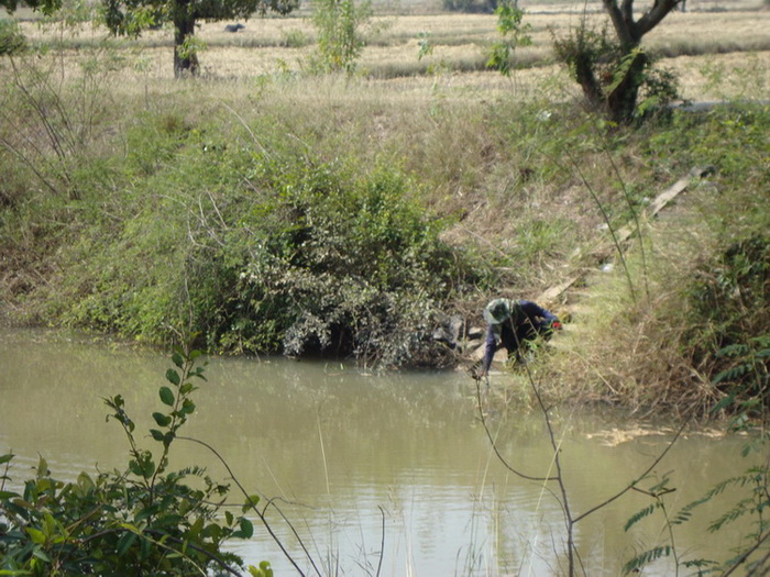 [q]กระสูบจุด เห็นแล้วอยากลองฟลายจัง[/q]
ขอบคุณมากค่ะ..น้า KK FISHING ช่วงนี้ไวรัสฟลายเล่นงานหนักเลย