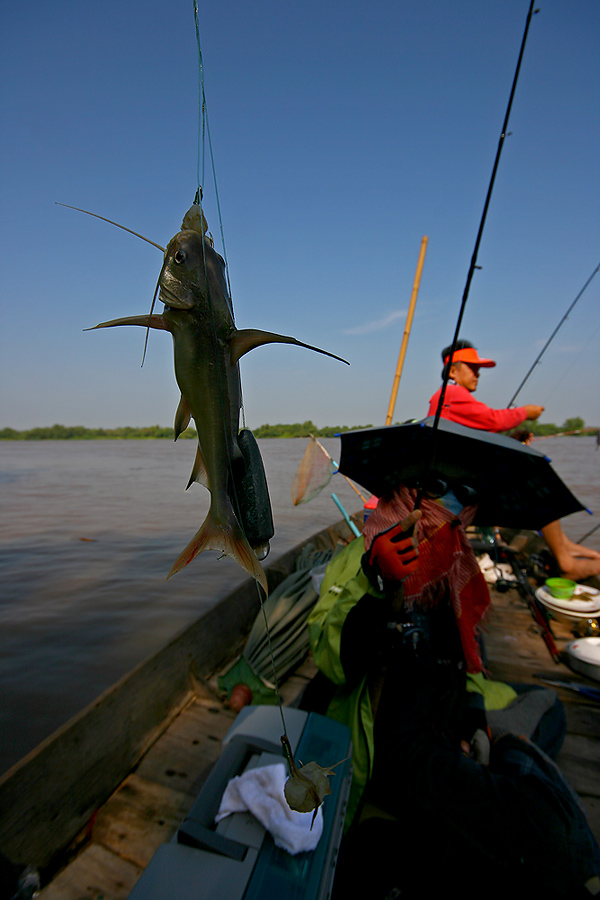  [q]+ขอเกาะ........................เรือไปด้วยน้าหรั่ง[/q]

ขึ้นมานั่ง ใกล้กันก็ได้ครับ น้าpound   