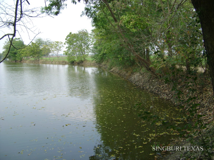 หมายวันนี้ค่ะ ที่ บางพราน จ.สิงห์บุรี 