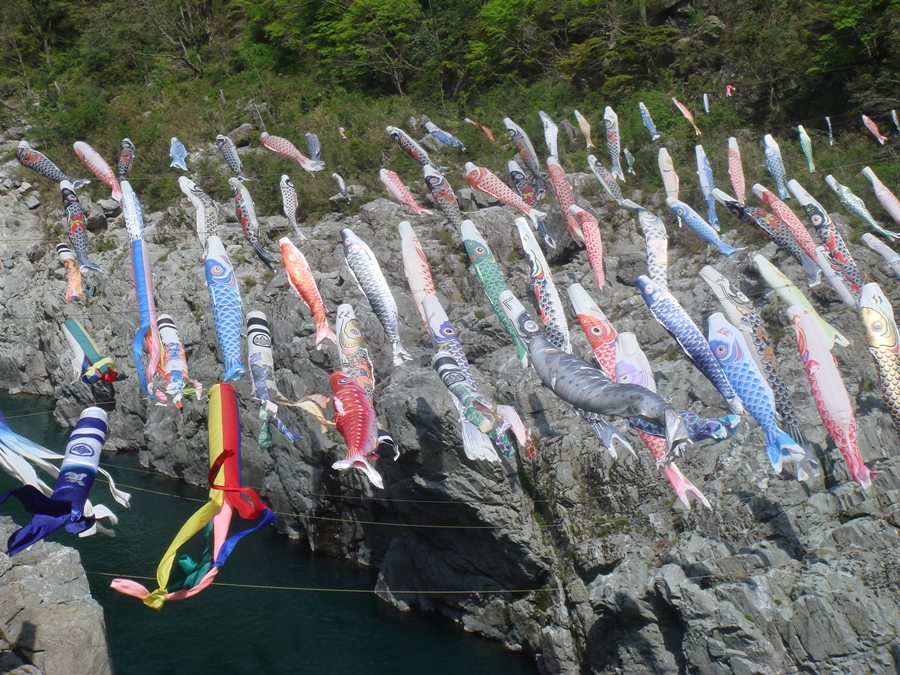 ปลาภูเขาที่พบเจอมาจ้า....ธงปลาคาร์ปที่เมืองโทคุชิมา....สวยแจ่มเลย

-------------------------------