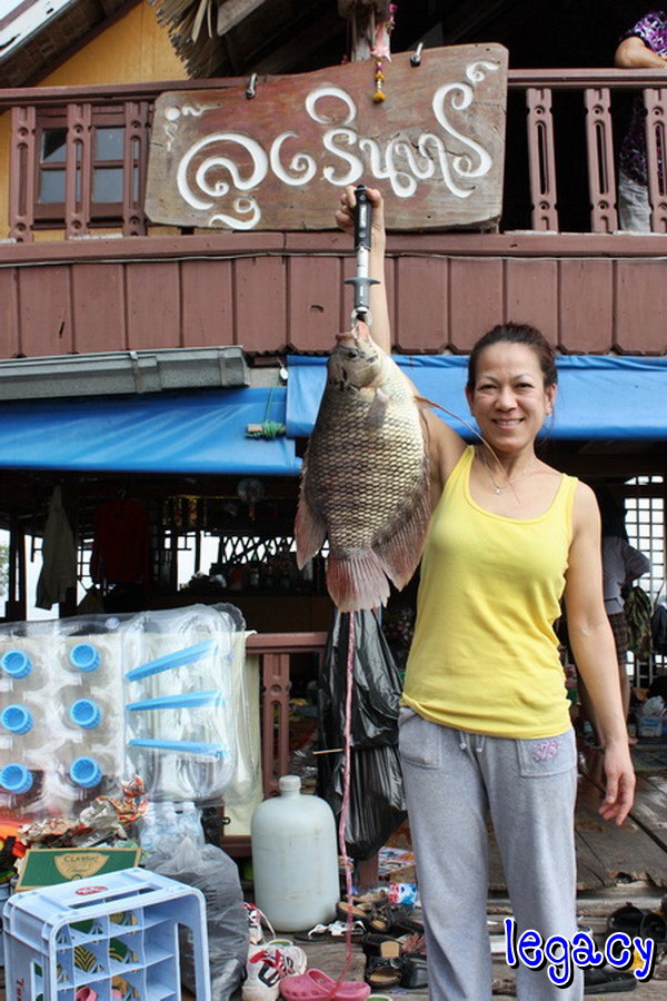 เริ่มต้นวันใหม่กับปลาแรด 3.5 กิโลครั