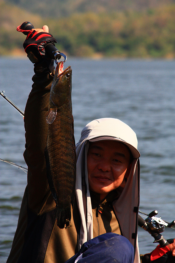 เรืออีกลำสถานการณ์ราบรื่น....น้าสิทธิ์ได้ปลาช่อนมาหล่อไป 1 ตัว
 :grin: :grin: :grin: