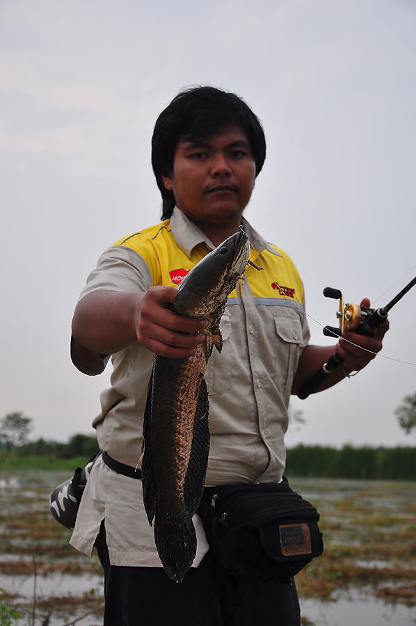 ช่วงเวลาตรดยังไม่หมดเสียง นายเต้ก็เอาตัวขึ้นมาโชว์แล้วอ่ะ :ohh: :laughing: :laughing: :laughing: