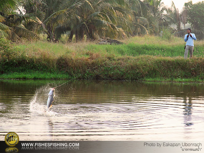 ภาพนี้ใครไม่รู้ครับ รายงานตัวด้วยน