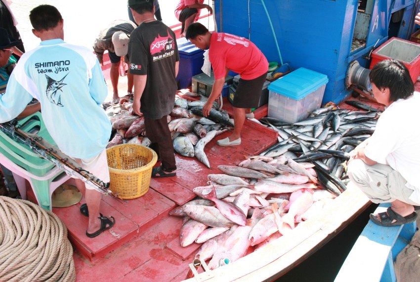 ลากันด้วยภาพรวมภาพนี้เลยนะครับ ขออภัยที่ไม่ได้ตอบกระทู้เลยนะครับ พอดีต้องไปทำงานก่อนครับ ยังไงถ้ามีข