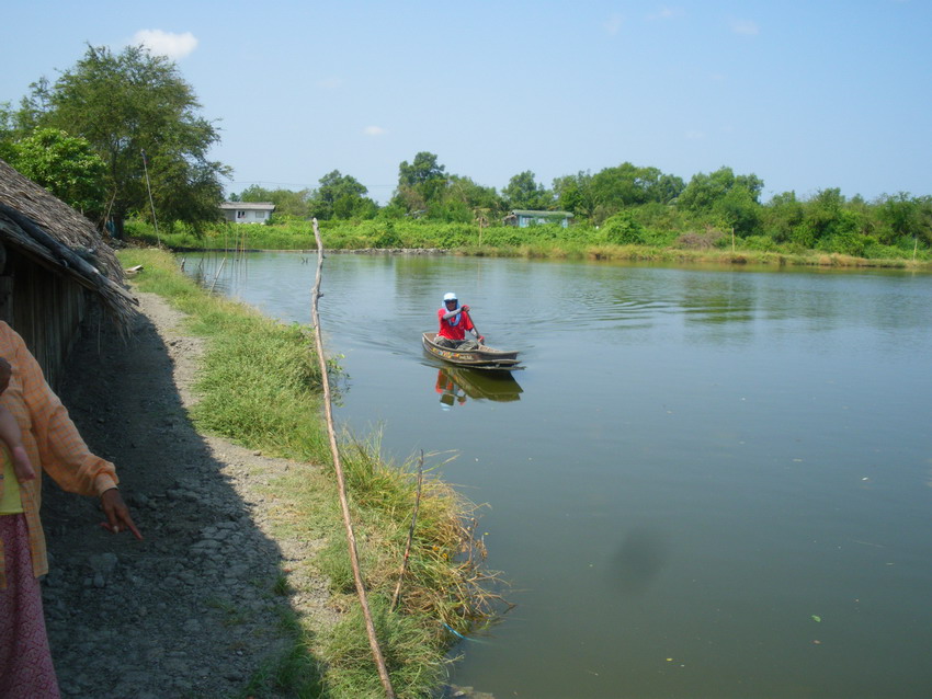 อ้าวนั่นใครพายเรือมาขายโอเลี้ยง :laughing: :laughing: :laughing: