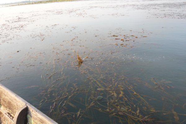 ยังไม่ยอมง่ายๆ มีมุดลอดท้องเรือ ดีที่มันมุดแปปเดียว 