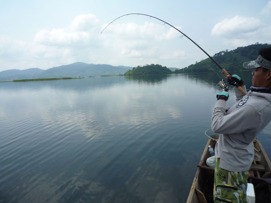 รู้งี้ ... มาเล่น พี่โด ตั้งนานแล้ว ไปหลง น้องพง อยู่นานสองนาน  :love: :love: :love: