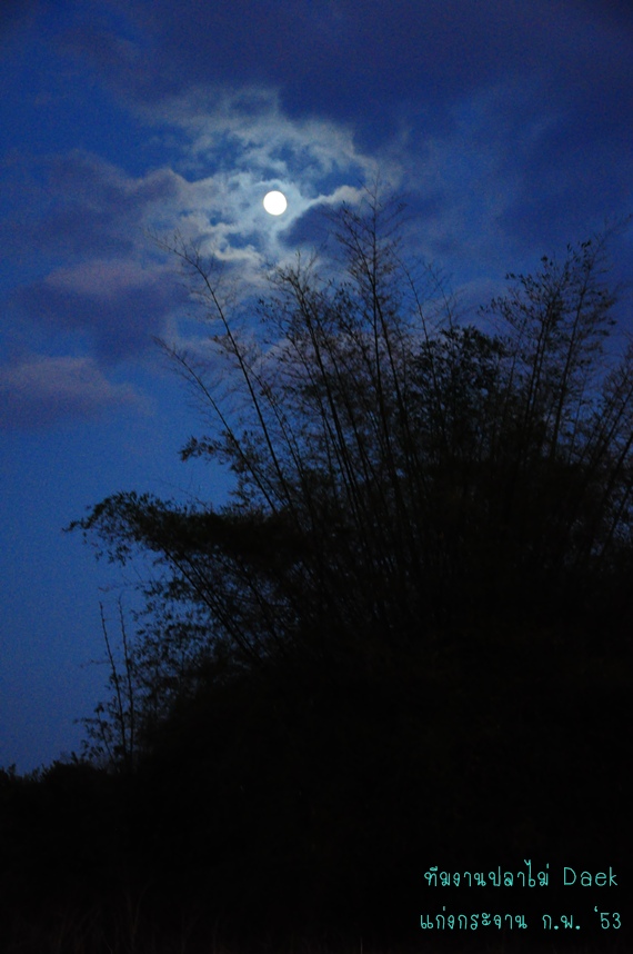 
คืนนี้ พระจันทร์ สวยเชียว

14 ค่ำ แล้ว  ><

- - - - - - - - - - -  -

กลับถึงที่พัก ตากล้อง 