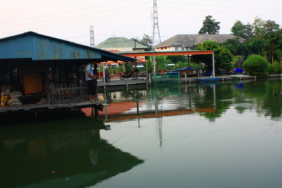 แหม่บรรยากาศมันหน้ากินน้ำดอกคำฝอย