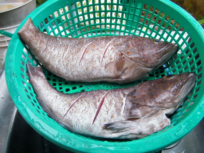 มาต่อกัน ที่เมนู ปลานักเลง นึ่งซีอิ้วครับ 

จัดการปลาเลย ครับ ล้าง ทำความสะอาดทั้ง ภายใน ภายนอก แล