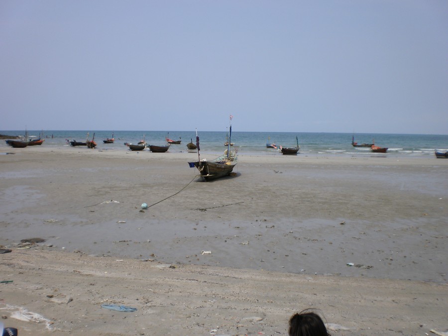 บรรยากาศ เรือและทะเล  ตอนขึ้นมาจากเรือ น้ำลงไปเยอะ  แดดร้อนมาก  ลมจัด แต่ต้องขอบคุณธรรมชาติ ที่แบ่งป