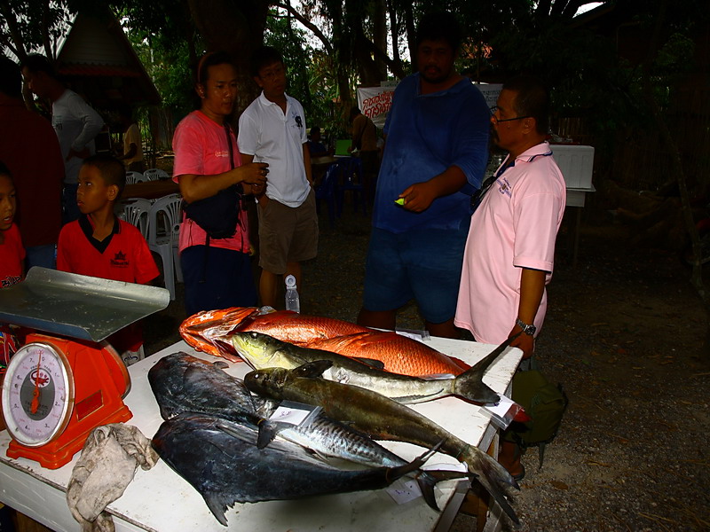  [b]ทีมก้างปลา.. เรืออลูลำเล็กแต่กวาดไปถึงสี่รางวัล[/b]