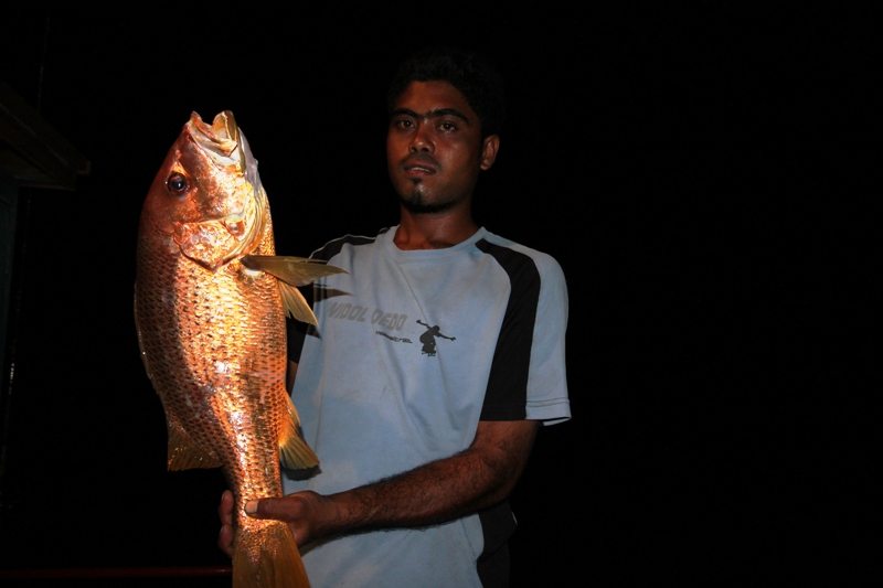 ท้ายเรือปลาก็กินครับ ผมอัด ไต๋ยีเป็นนายแบบครับ
   :grin: :grin: :grin: