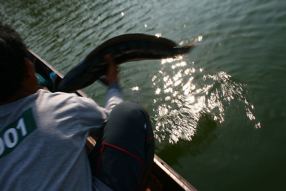 ขึ้นเรือเรียบร้อยแล้วครับ  ขอโทษทีนะครับรูปมันไม่ชัดเพราะผมตั้งค่าผิด 








สวัสดีครับน้