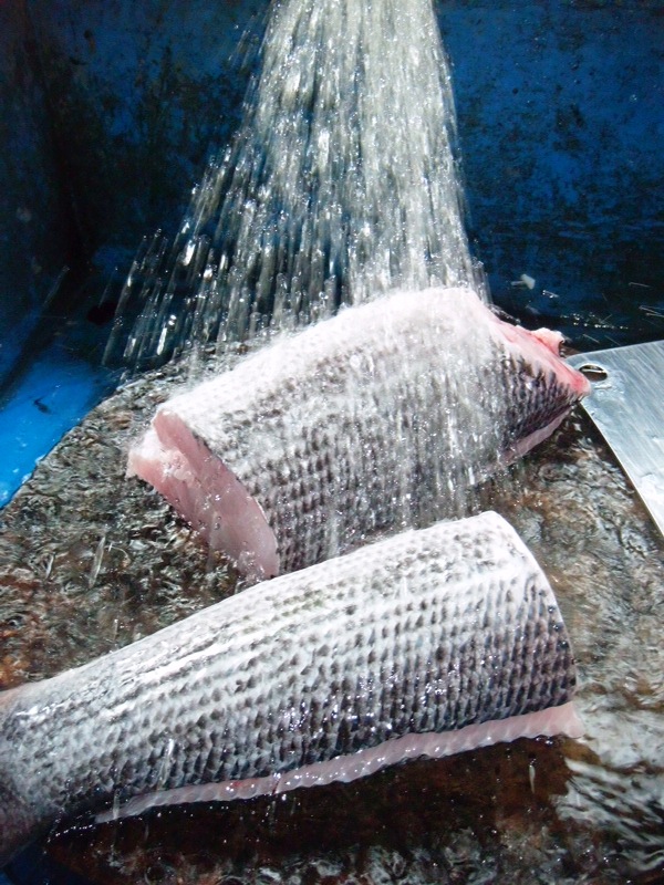 ล้างให้เกลี้ยงครับ แนะนำน้า ๆ ป้า ๆ เวลาล้างทำความสะอาดปลาอย่าล้างในกะละมัง คาวปลาที่ออกมาจะติดไปกับ