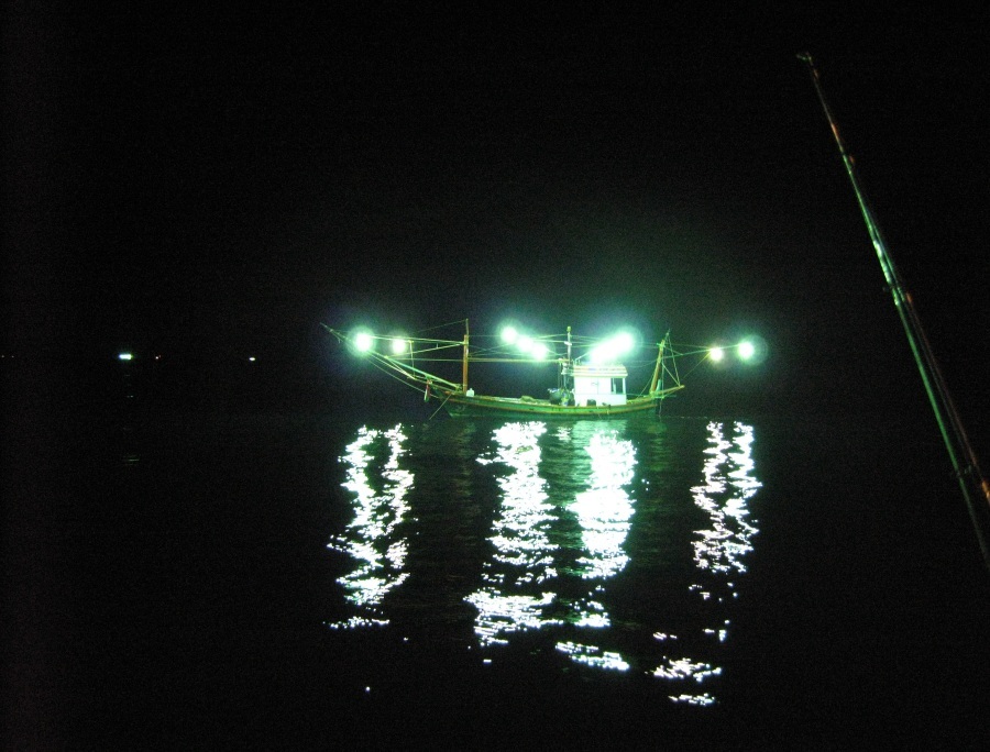 เพือ่นในทะเล ในยามค่ำคืน เห็นแต่แสงไฟเป็นเพื่อน