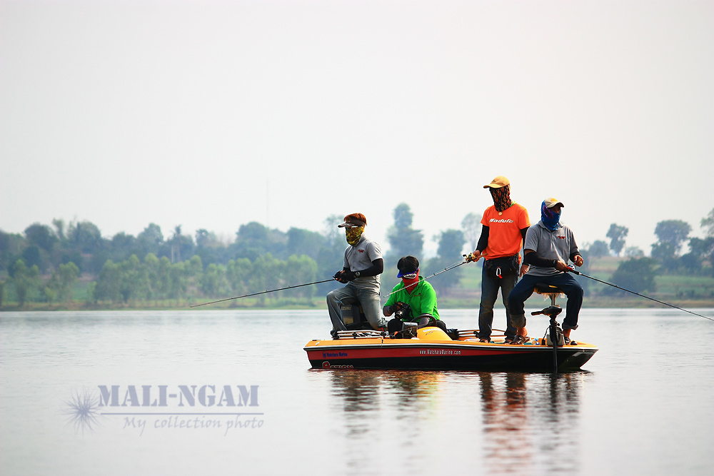 สักพัก  ชายเสื้อเขียว.......ก็ทนฝูงปลาที่ขึ้นรอบเรือไม่ไหว
    ต้องรีบเก็บกล้อง.........คว้าคันอีกร