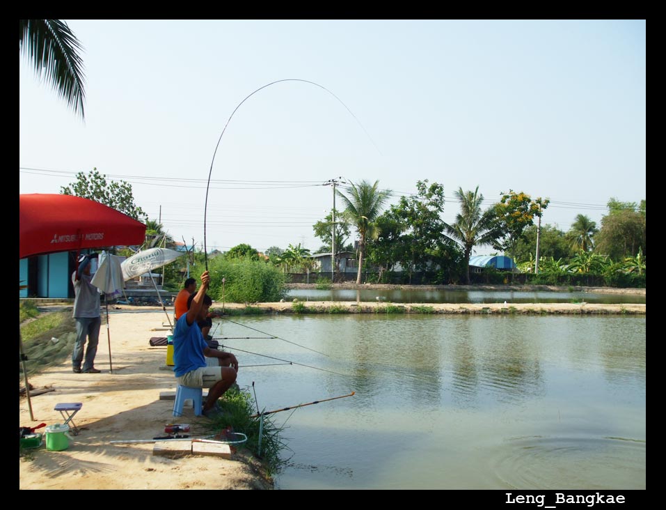 ควับ..... ดูท่าไว้นะน้องเล้ง .......วัดอย่างนี้ ติดปากปลาชัวร์  ......โนเซฟ อัดอย่างนี้  ...... :coo