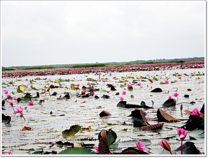 เสียงแว่วดังผ่านเครื่องฮอนด้า 

"จุดหมายสุดท้าย เราจะไปวิ่งผ่านไปเรียบราวสะพาน และจะหันหัวกลับ..ส