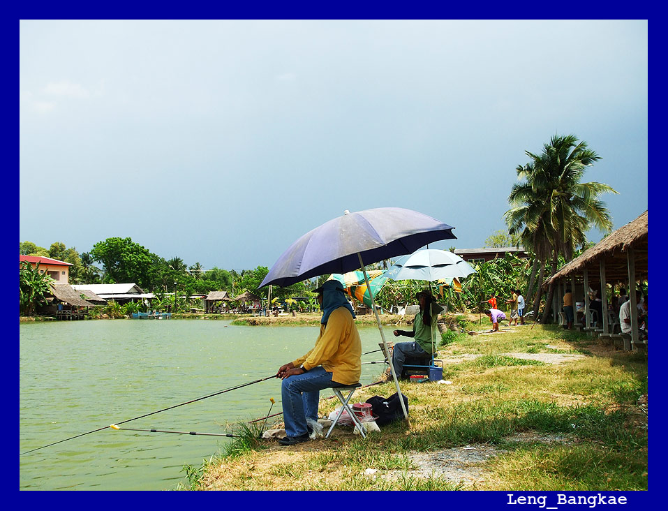 ถึงฝนจะตก แดดจะร้อน ....แต่ไม่ได้ทำให้มือโปรทั้ง 2 หวั่นไหวแม้แต่น้อย  ... :love:

[q]นำเสนอ..อีกแ