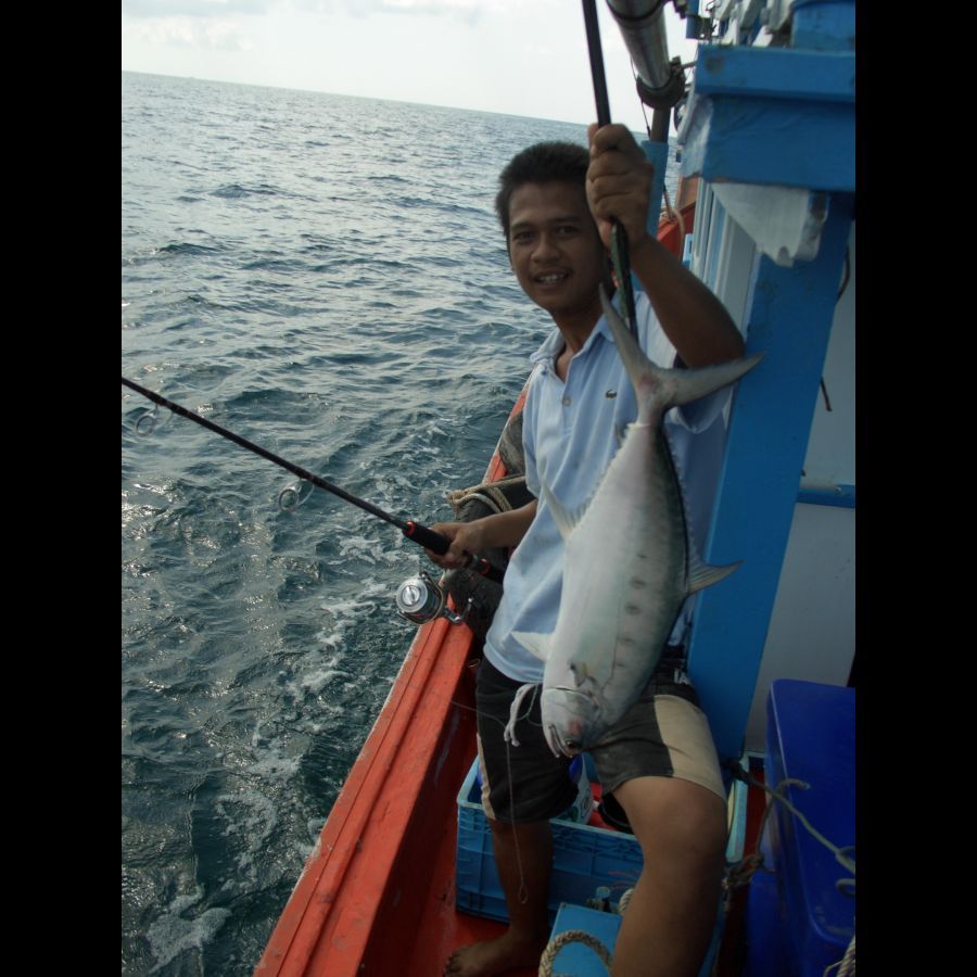 ปลากินดี มาก จนเรือลำอืนชักทนไม่ไห