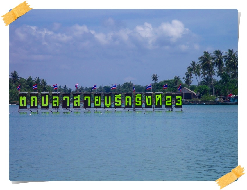 ผลการแข่งขันกีฬาตกปลาสายบุรี#23