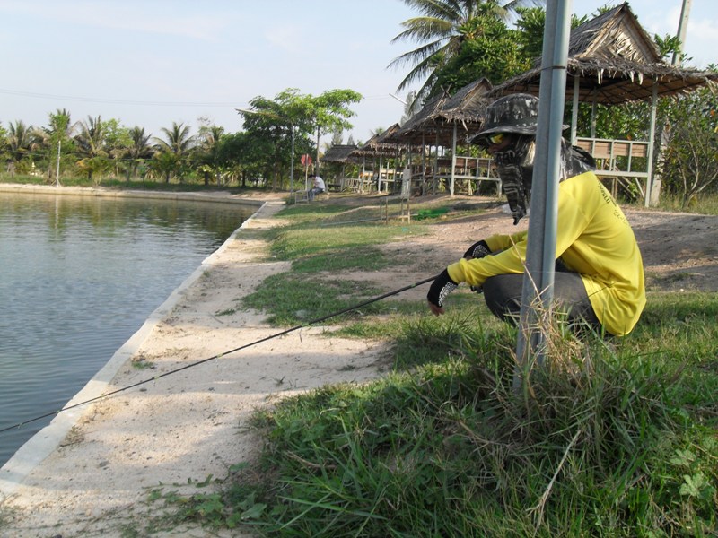 ไม่ใช่ประตู เรือ รึประตูไก่ นะครับ

แต่ก็เฝ้าเสาเหมือนกัน :laughing: