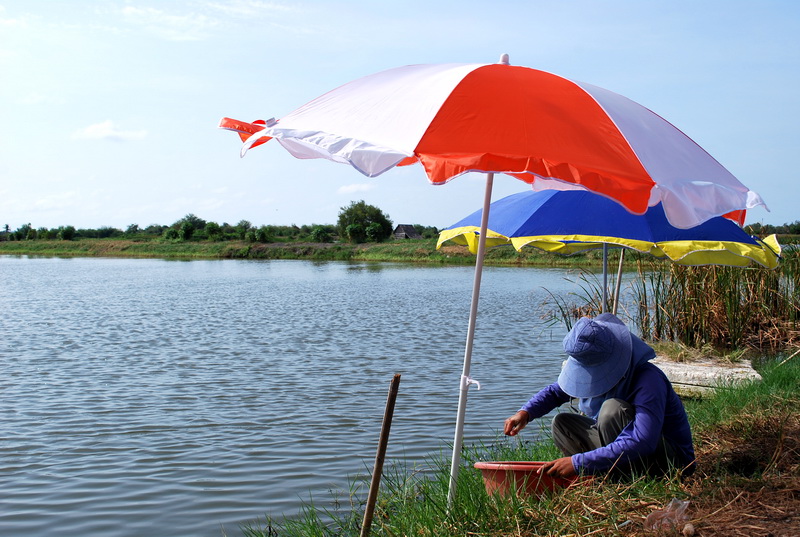 
ปล่อยให้ตาเก่งผสมเหยื่อไปก่อน...ส่วนเราก้อเก็บภาพไปเรื่อยๆ...ระหว่างรอ... :grin: :grin: