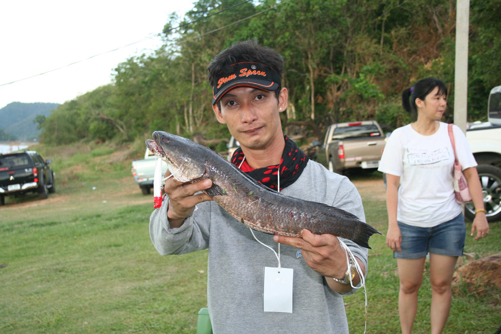 ปลาช่อนน้าโอ๋ครับ.....ติดรางวัล ด้วย...
 :cheer: :cheer: :cheer: