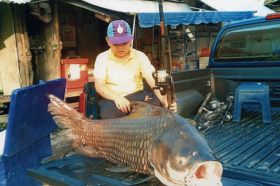 ตัวนี้น้าผมตกได้แถวสามโคก ปทุมธานีครับ....